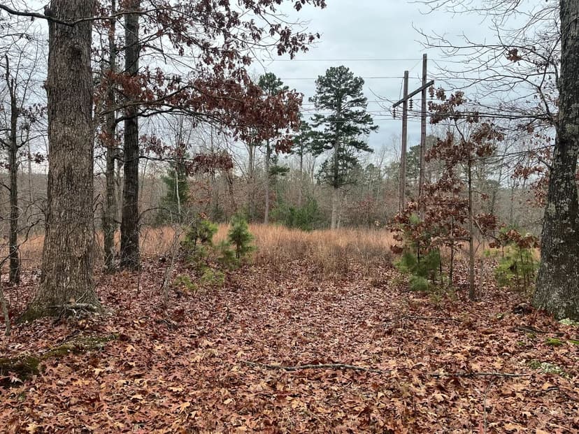 58 Acre Wildlife Retreat