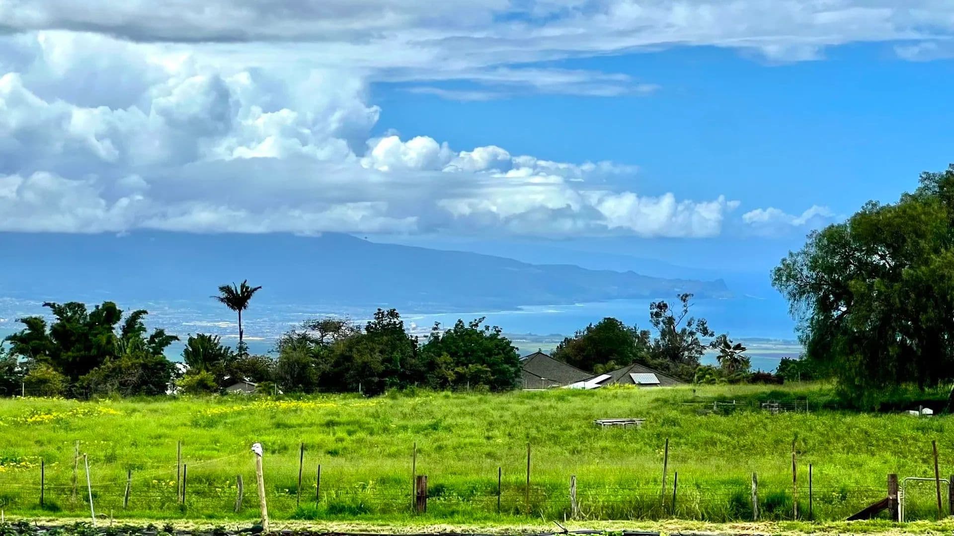 Vacant Land in Kula - Kula, Hawaii, 96790