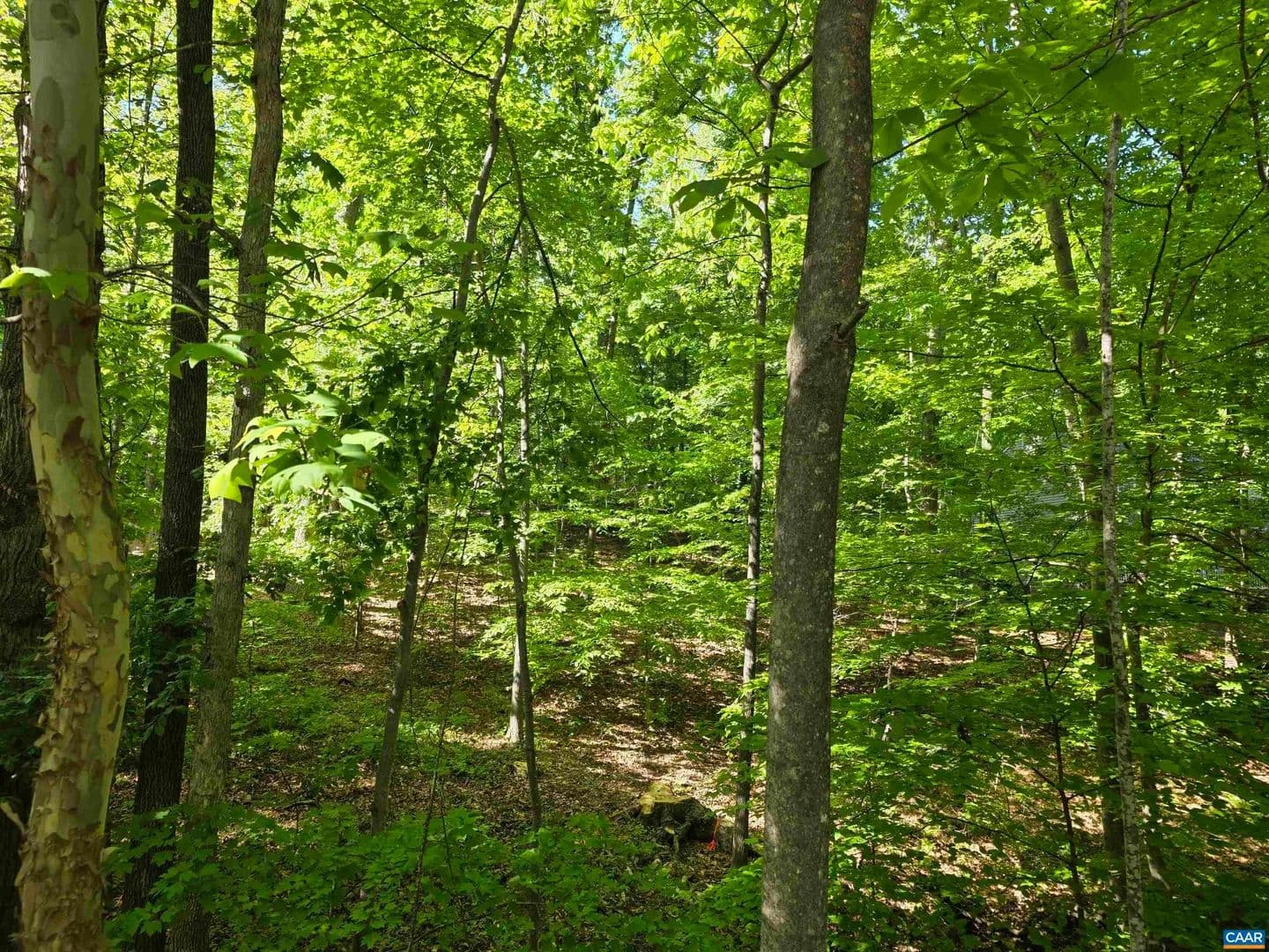 Property from 717 JEFFERSON DR - KW - Palmyra, Virginia, 22963