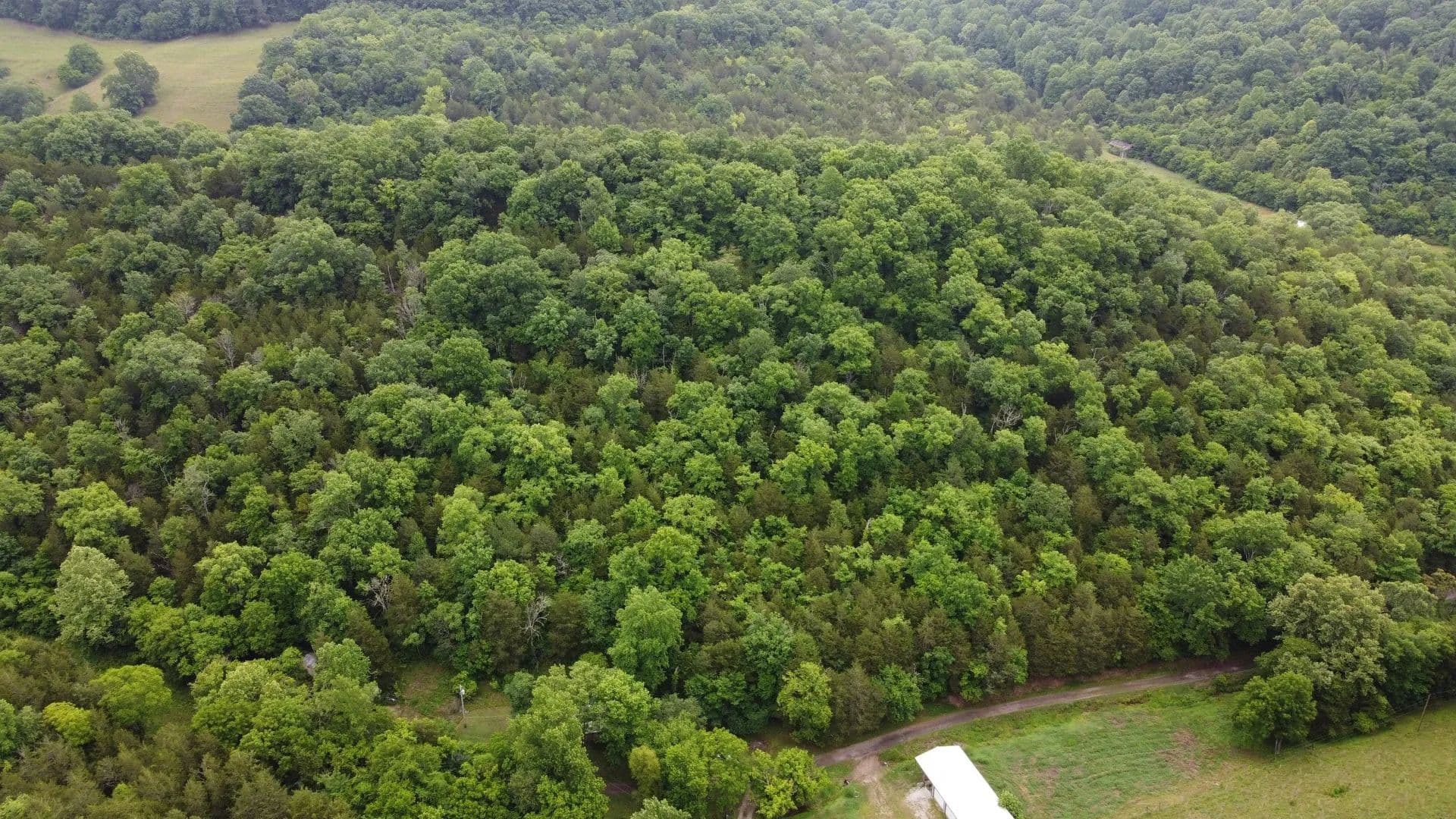 Property from 32 Patterson Ln - KW - Pleasant Shade, Tennessee, 37145