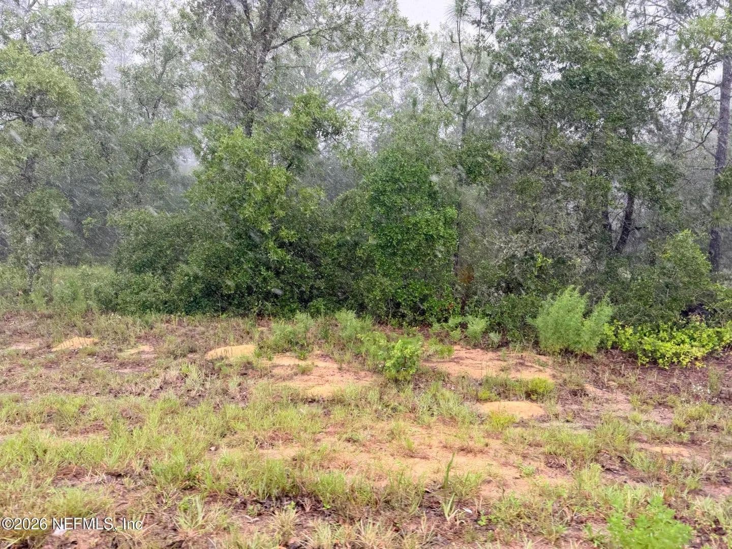 Property from 5628 COUNTY ROAD 214 - KW - Keystone Heights, Florida, 32656