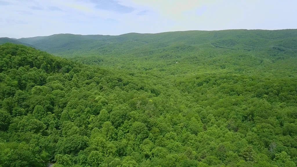 Property from Lot 15 Cove Creek #Lot 15 - KW - Bastian, Virginia, 24314