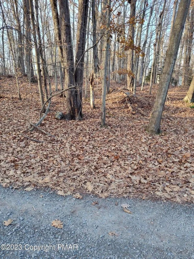 Lots & Land-Other in Pocono Lake - Pocono Lake, Pennsylvania, 18347