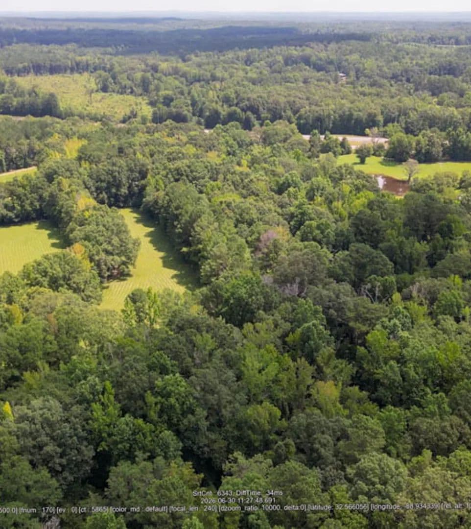 60 Acres in Newton County in Collinsville, MS - Collinsville, Mississippi, 39325