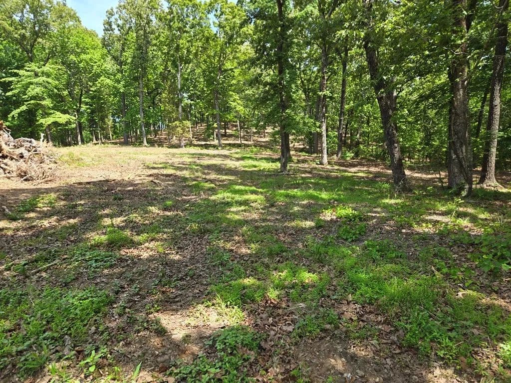 Property from 730 Swan Bay Dr - KW - Buchanan, Tennessee, 38222