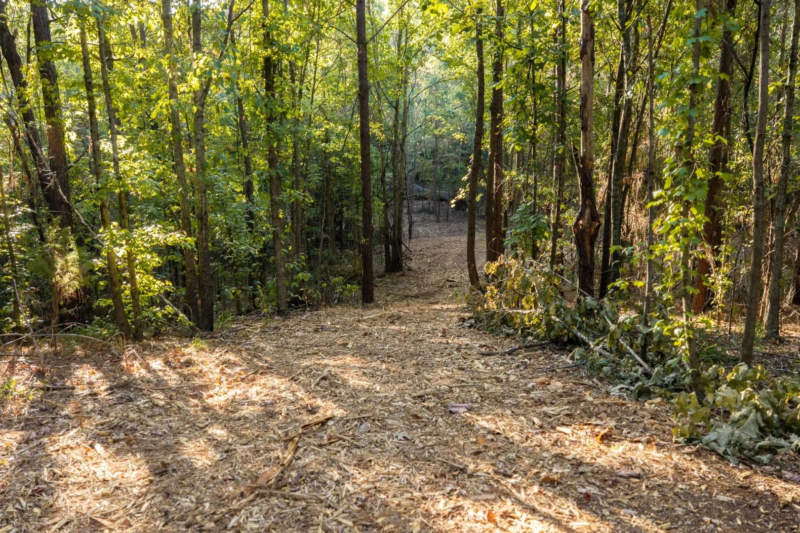 141 Acres of Timber, Hunting & Recreational Land in Smith County, TX for Sale - T Bar Ranch - land for sale