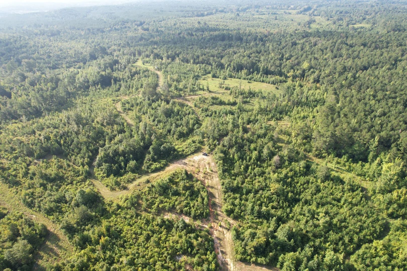 43 Acres in Attala County, MS - land for sale