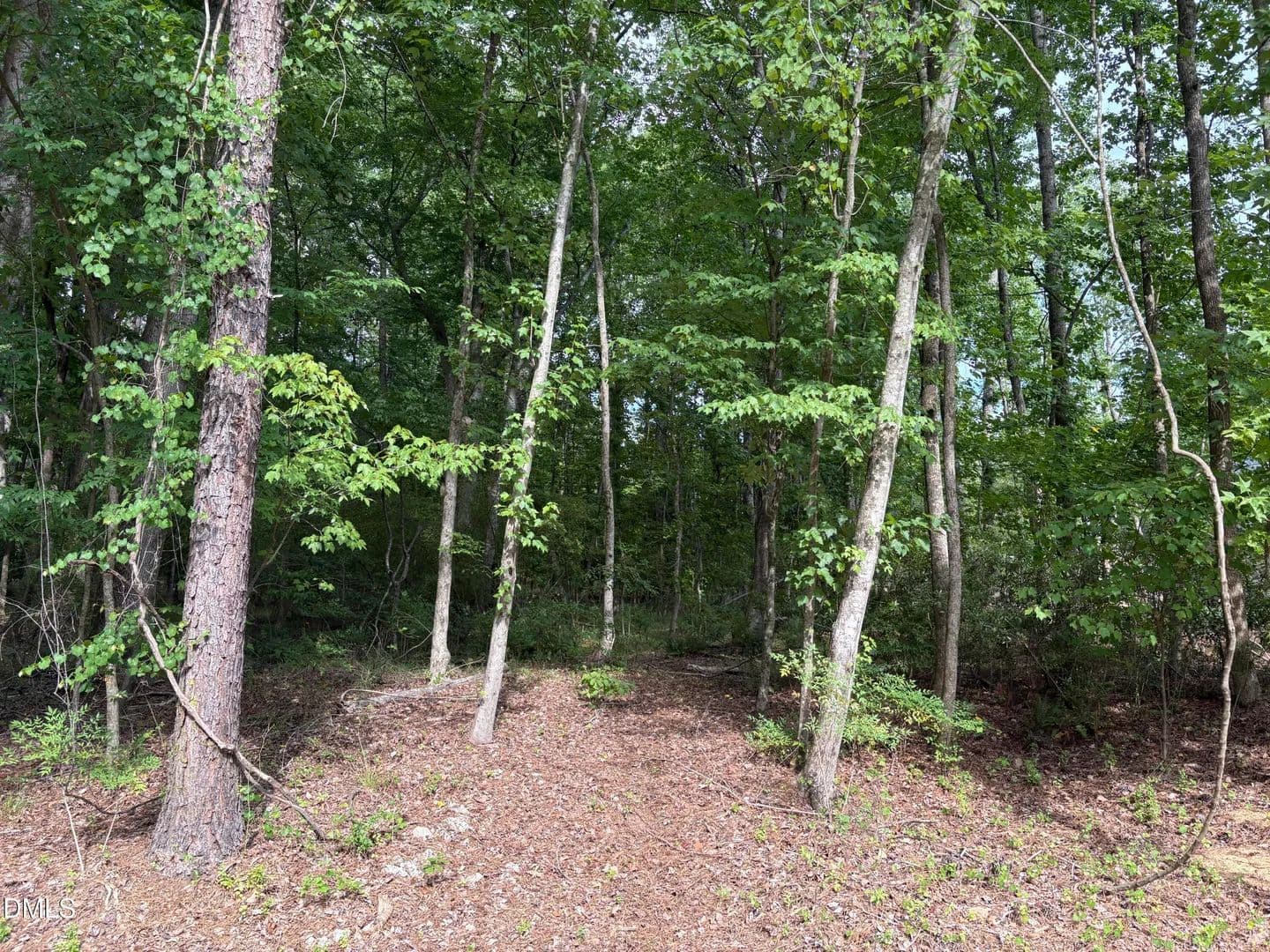 Property from 134 Mohawk Drive - KW - Louisburg, North Carolina, 27549