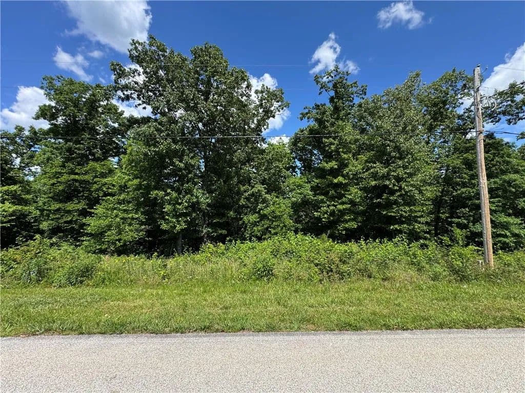 0.33 Acres of Land for Sale in Bella Vista, Arkansas - Bella Vista, Arkansas, 72715