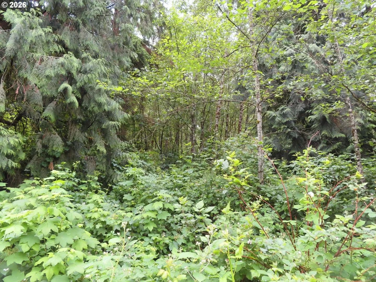 Property from Sylvan WAY - KW - Longview, Washington, 98632