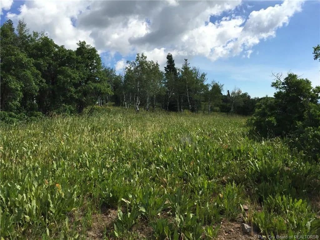 Property from 239 Porcupine Loop - KW - 84017