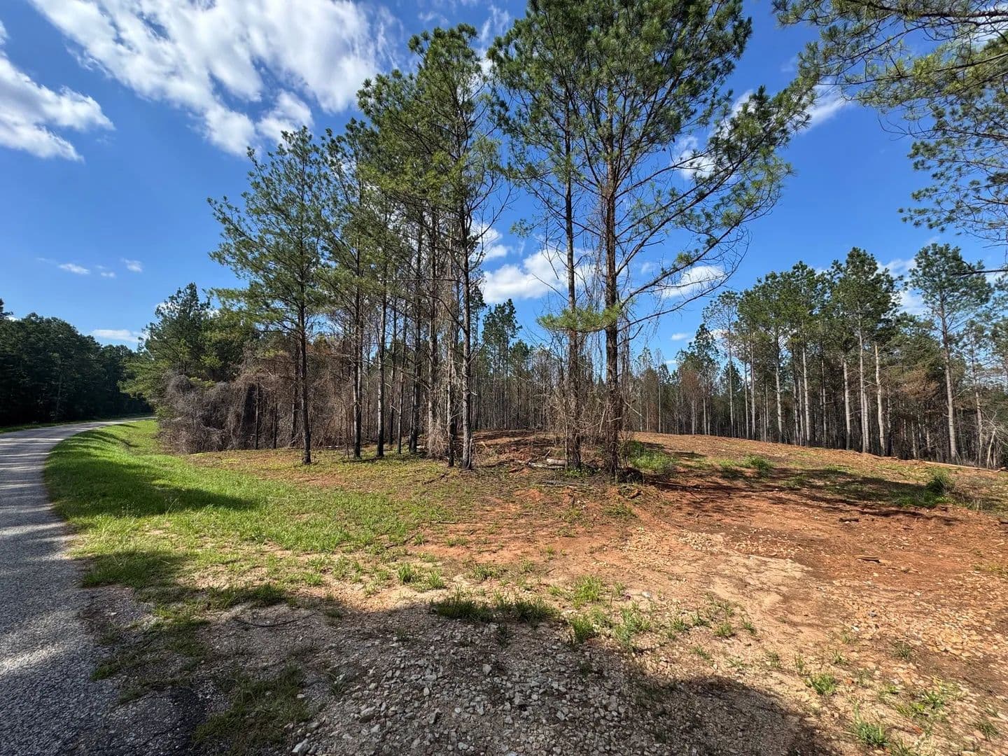 32.18 +/- Acre Close to Lake Martin, Barrons Bridge Rd, Tallapoosa County - Dadeville, Alabama, 36853
