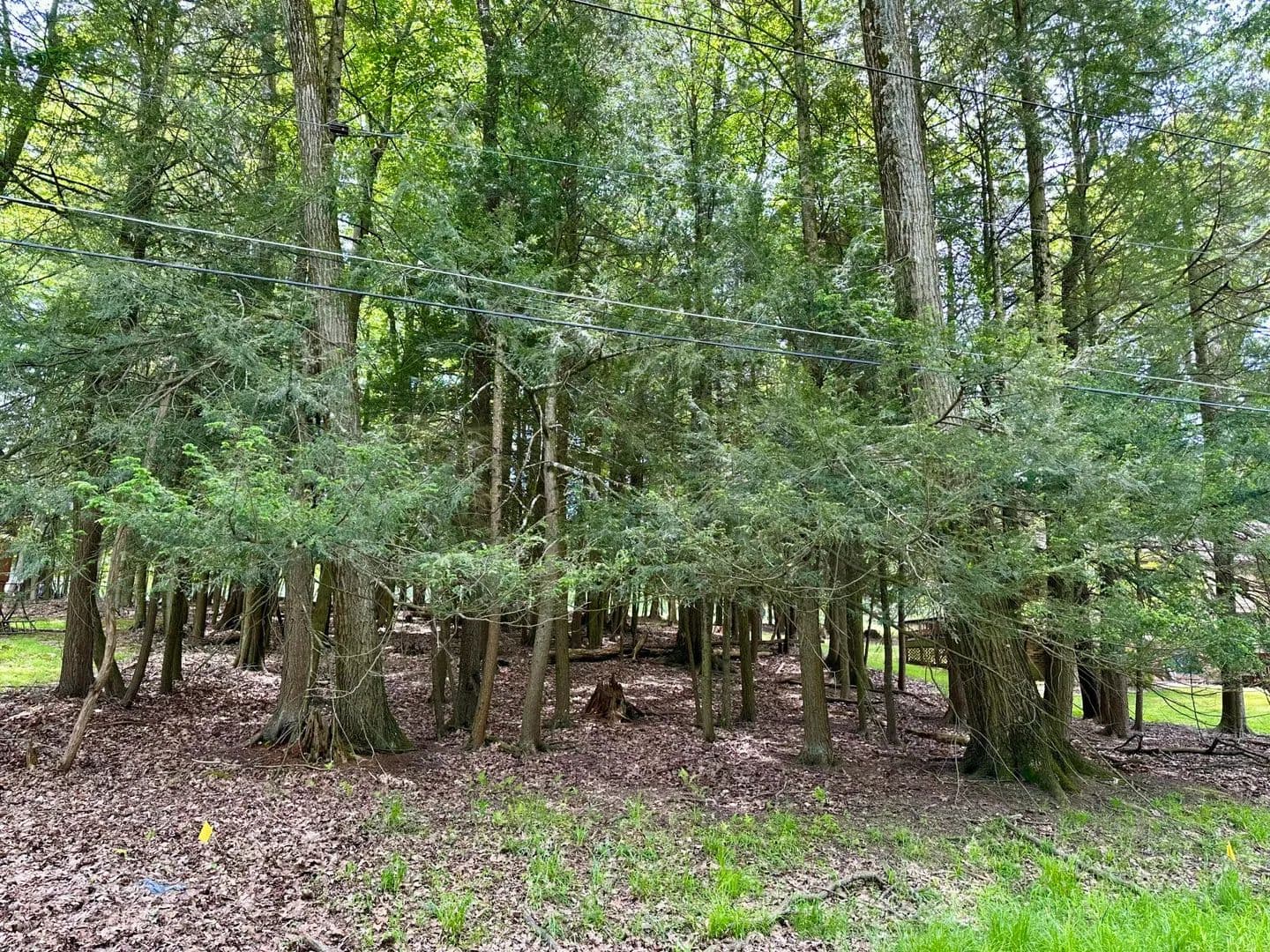 Property from 2 30 SEA HORSE RD - KW - Dubois, Pennsylvania, 15801