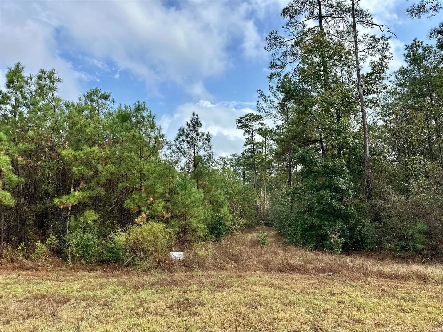 Property from 15886 Wood Grove Way - KW - Willis, Texas, 77378