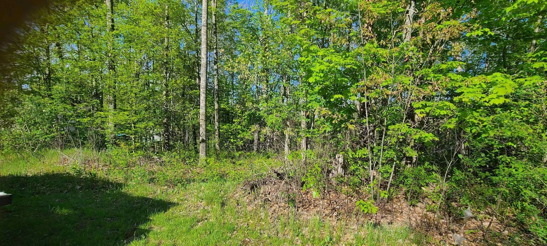 Property from 000 Montana Street - KW - , Michigan, 48705