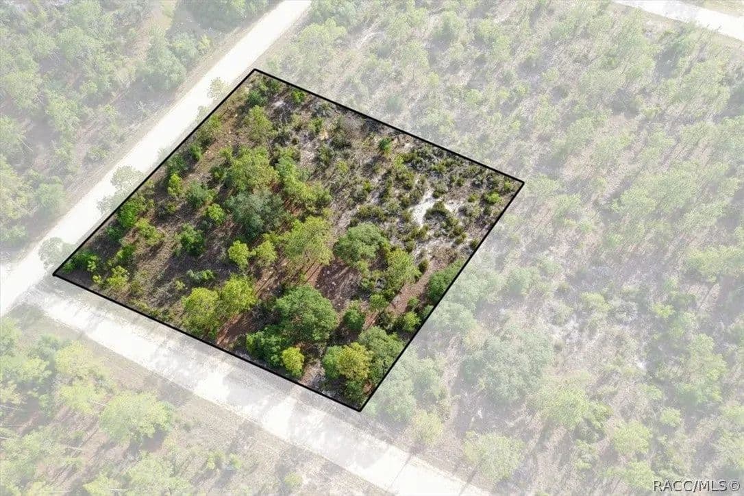 Lots & Land-Other in Williston - Williston, Florida, 32696