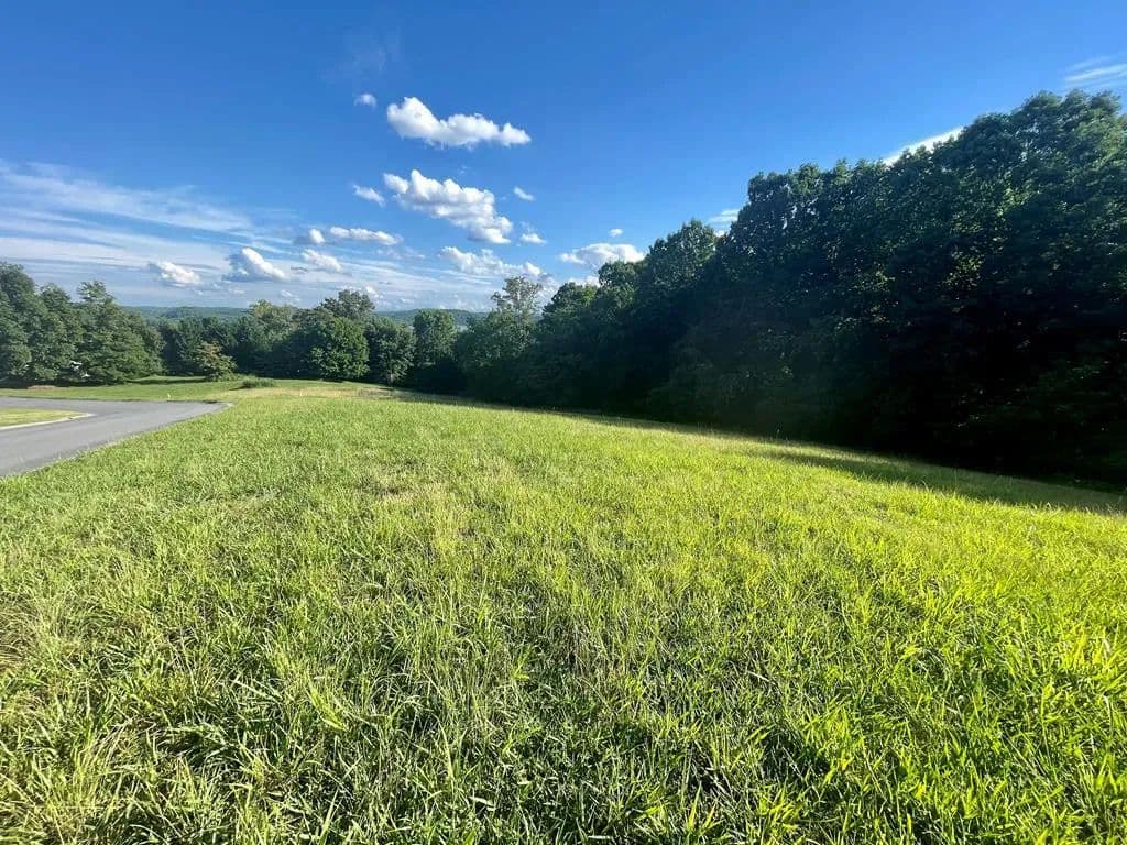 Property from LOT 181 Harbor View - KW - Mooresburg, Tennessee, 37811
