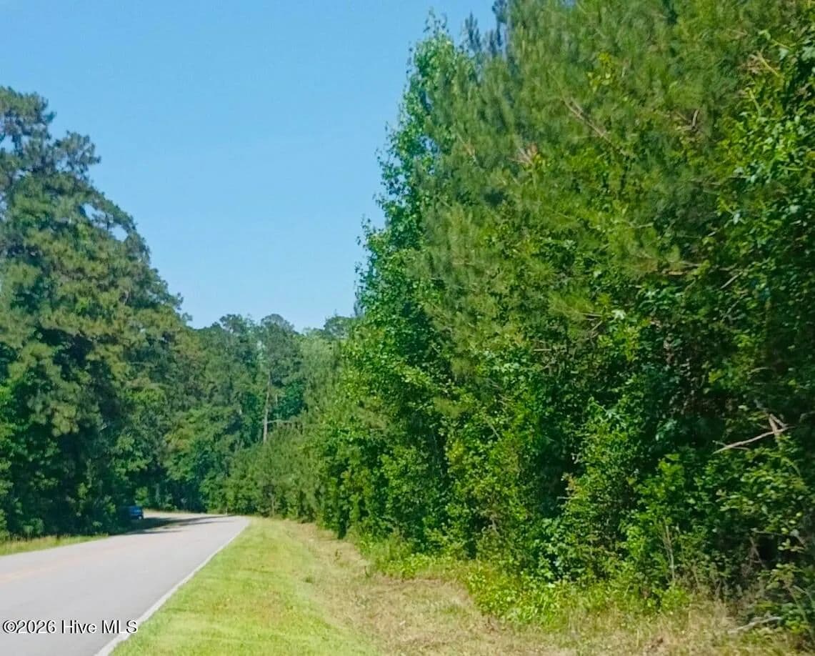 Vacant Land in Atkinson - Atkinson, North Carolina, 28421