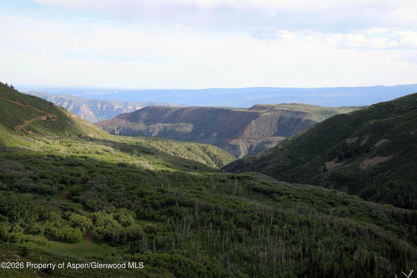 Property from Tbd Ms Road - KW - Glade Park, Colorado, 81523