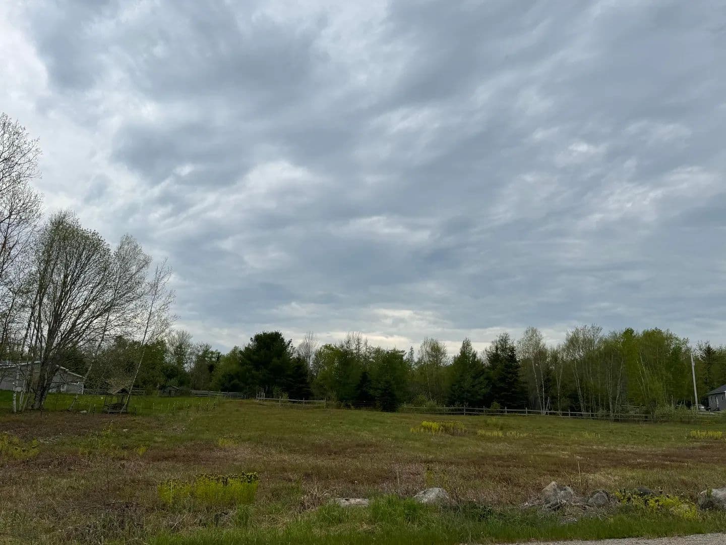 29.9 Acres of Land for Sale in Cooper, Maine - Cooper, Maine, 04657