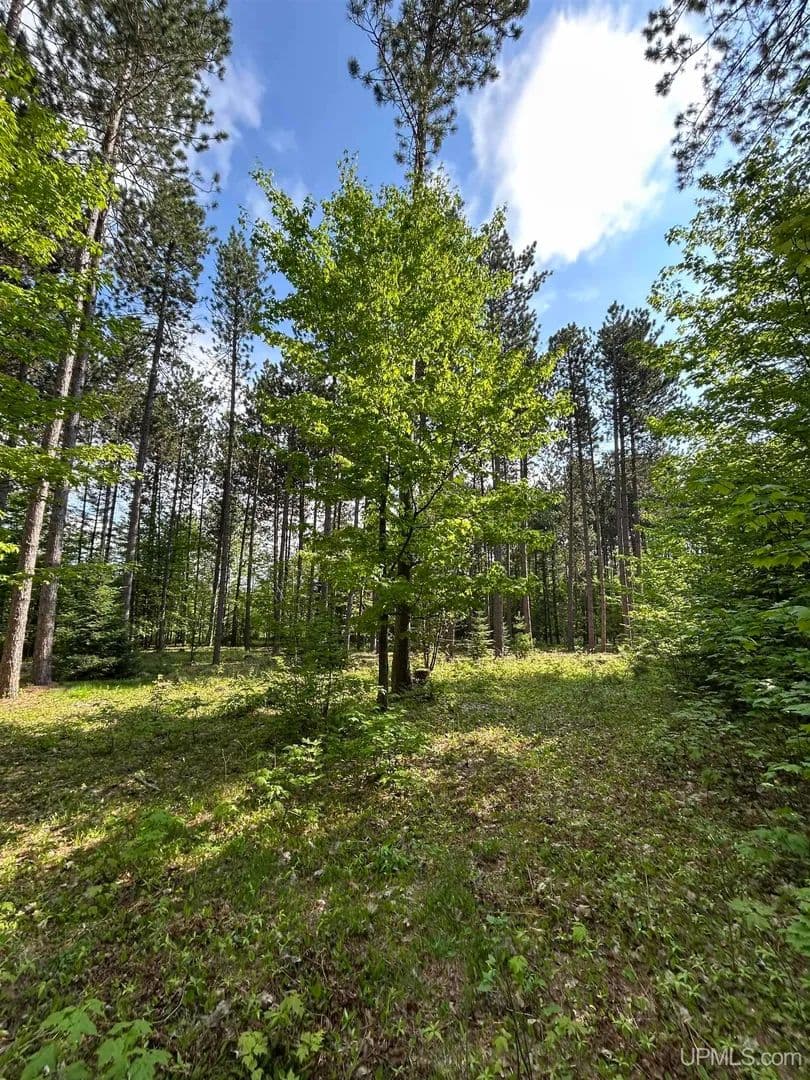 Property from 120 Pinton - KW - Marquette, Michigan, 49855