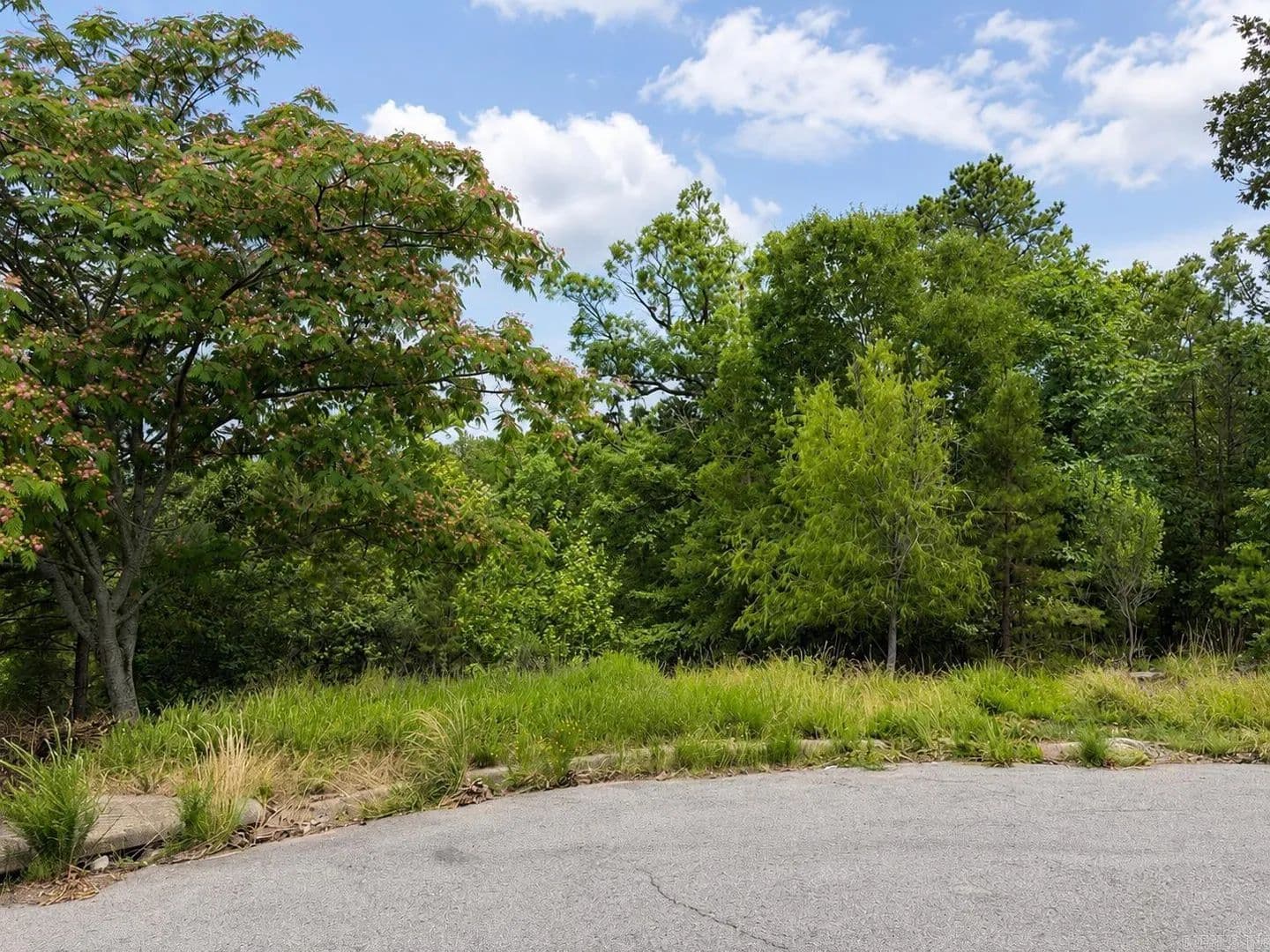 0.3 Acres of Land for Sale in Maumelle, Arkansas - Maumelle, Arkansas, 72113