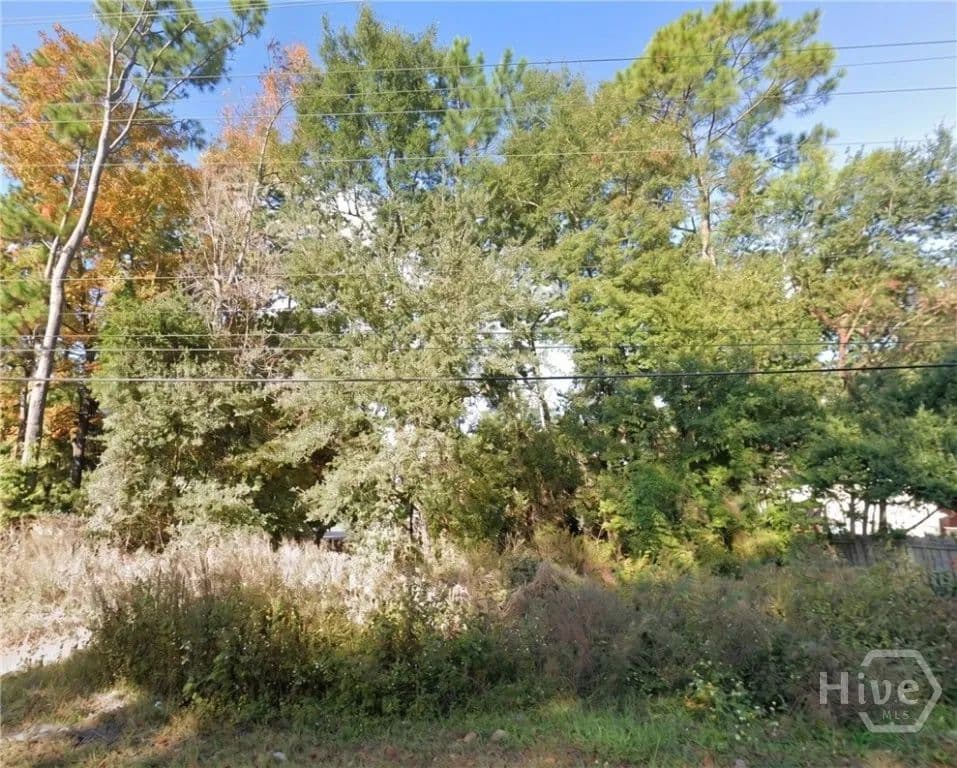 0.17 Acres of Land for Sale in Savannah, GA - Savannah, Georgia, 31410