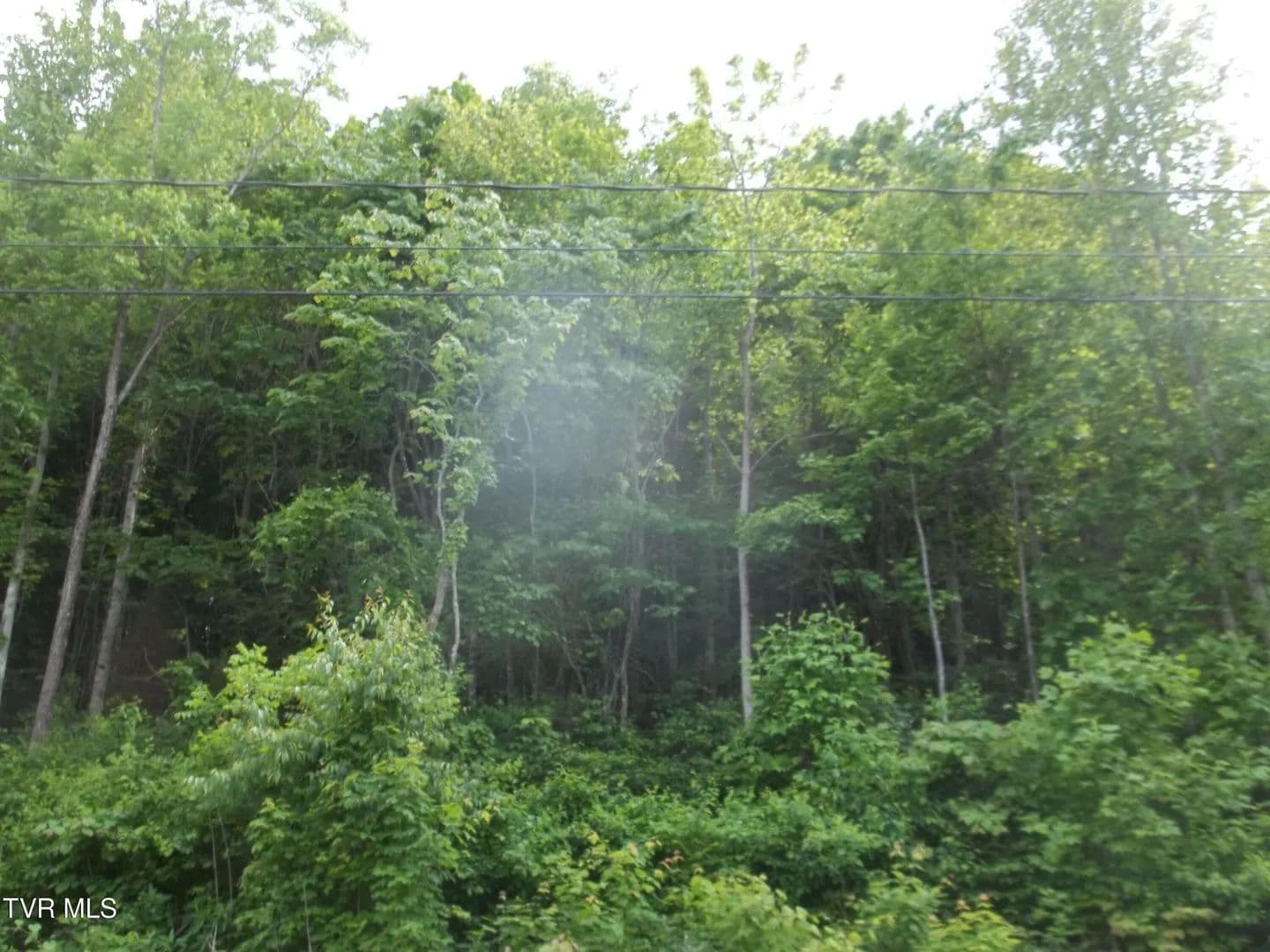 1.23 Acres of Land for Sale in Mount Carmel, Tennessee - Mount Carmel, Tennessee, 37645