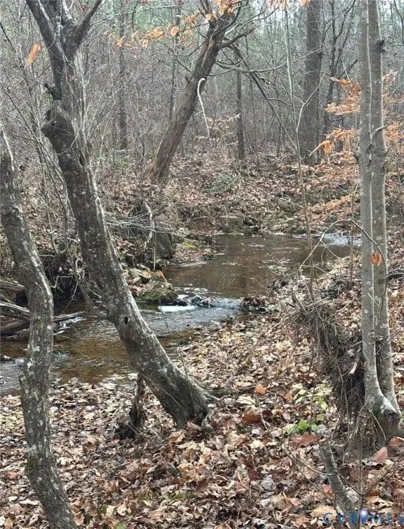 164.43 Acres of Land for Sale in Dillwyn, VA - Dillwyn, Virginia, 23936