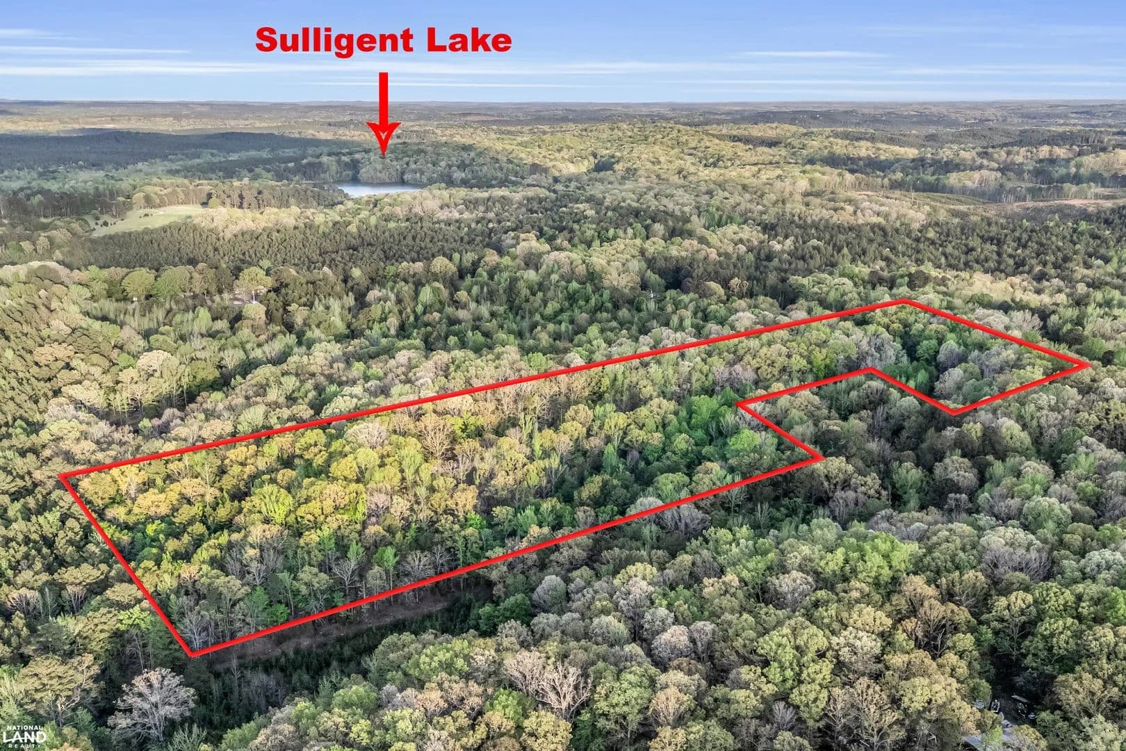 Abernathy Rd Tract - Sulligent, Alabama, 35586