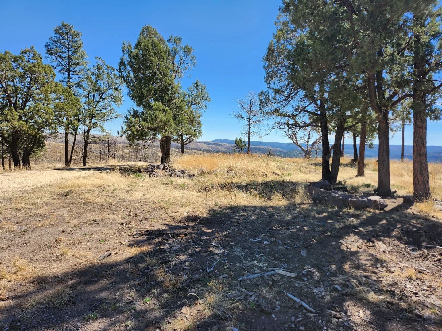 Land -Single Family Acreage in Ruidoso - Ruidoso, New Mexico, 88345