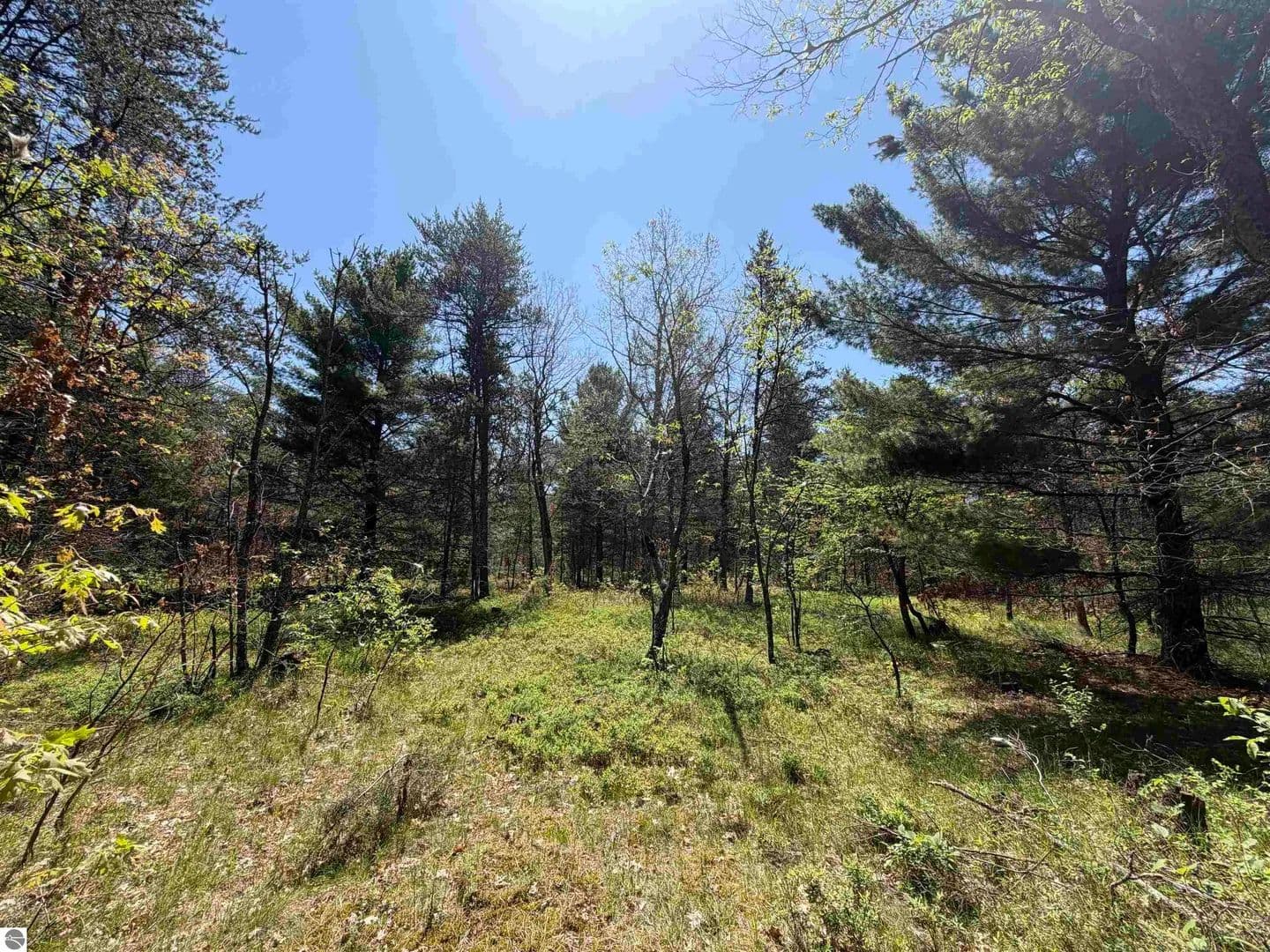 Property from US-10 - KW - Idlewild, Michigan, 49642