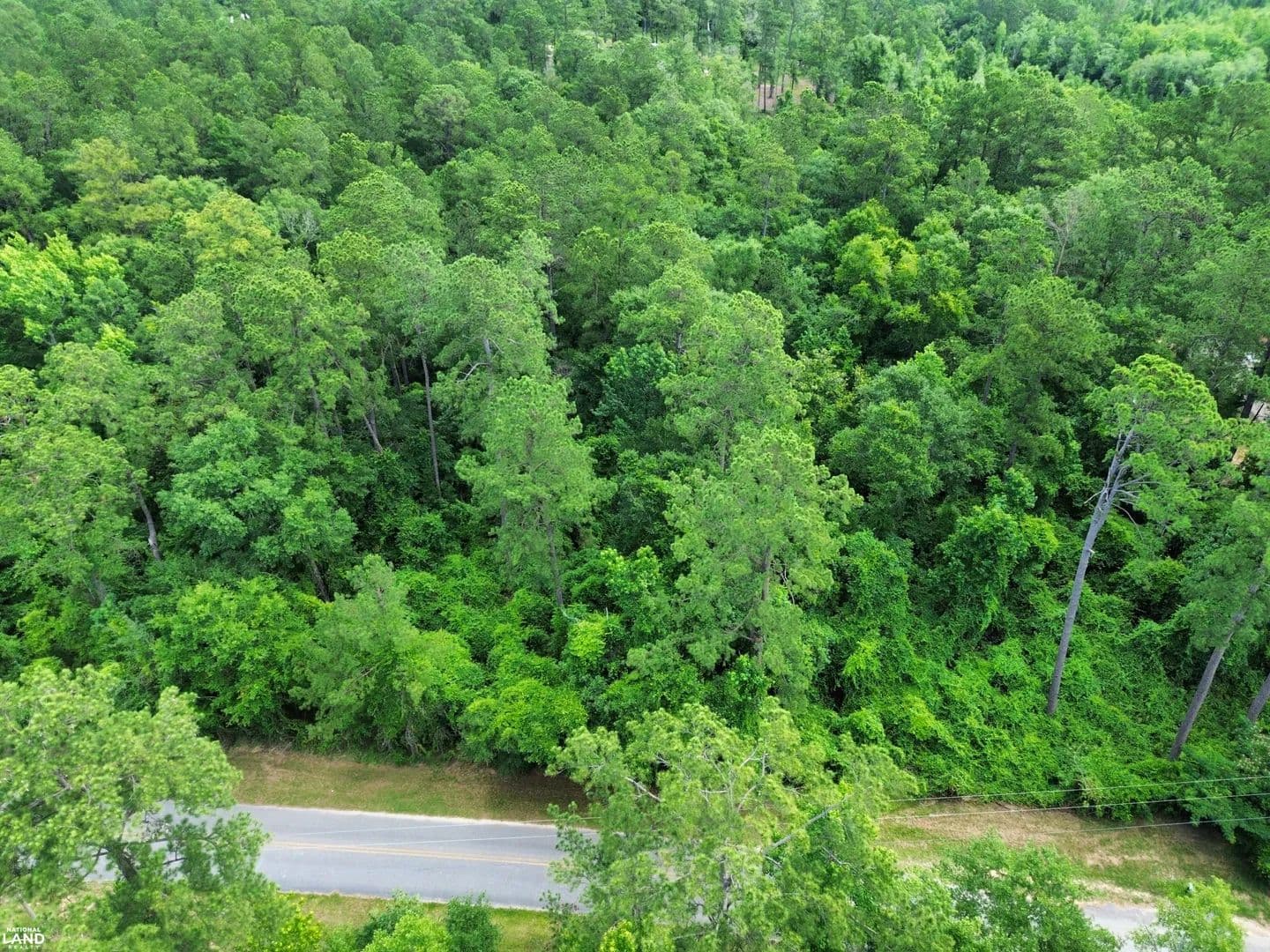 Stockton Residential Estate Lot #4 - Stockton, Alabama, 36579
