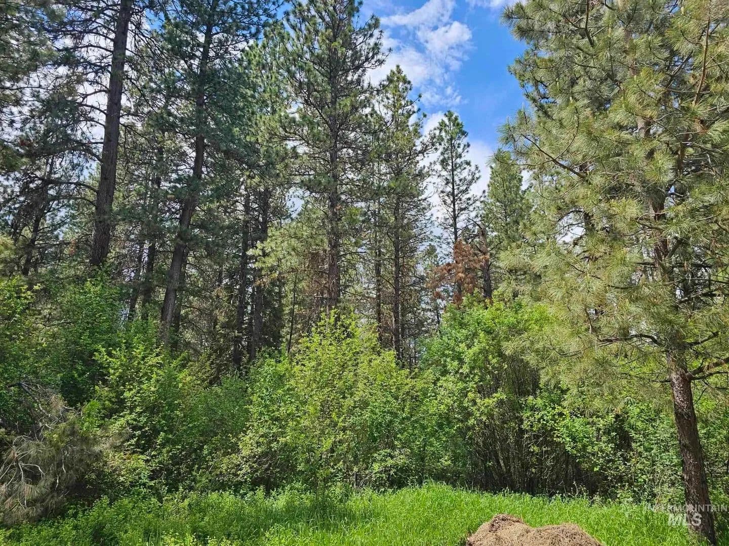 1.38 Acres of Land for Sale in Garden Valley, Idaho - Garden Valley, Idaho, 83622