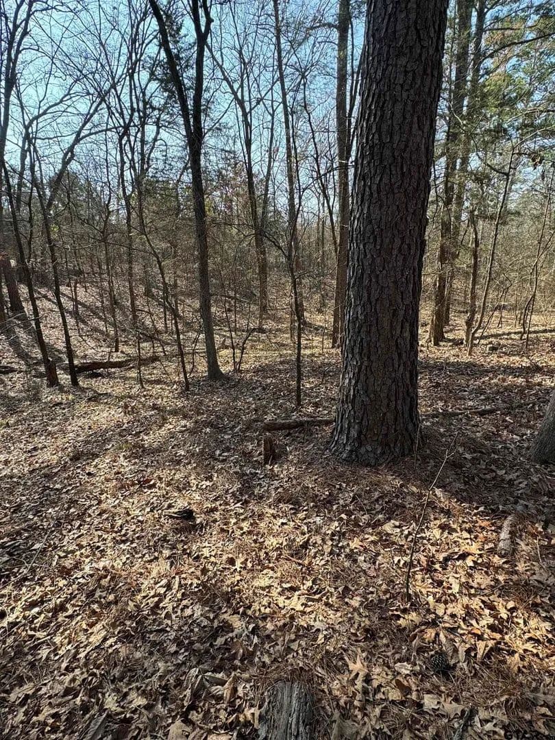 Lots & Land-Other in Mt Vernon