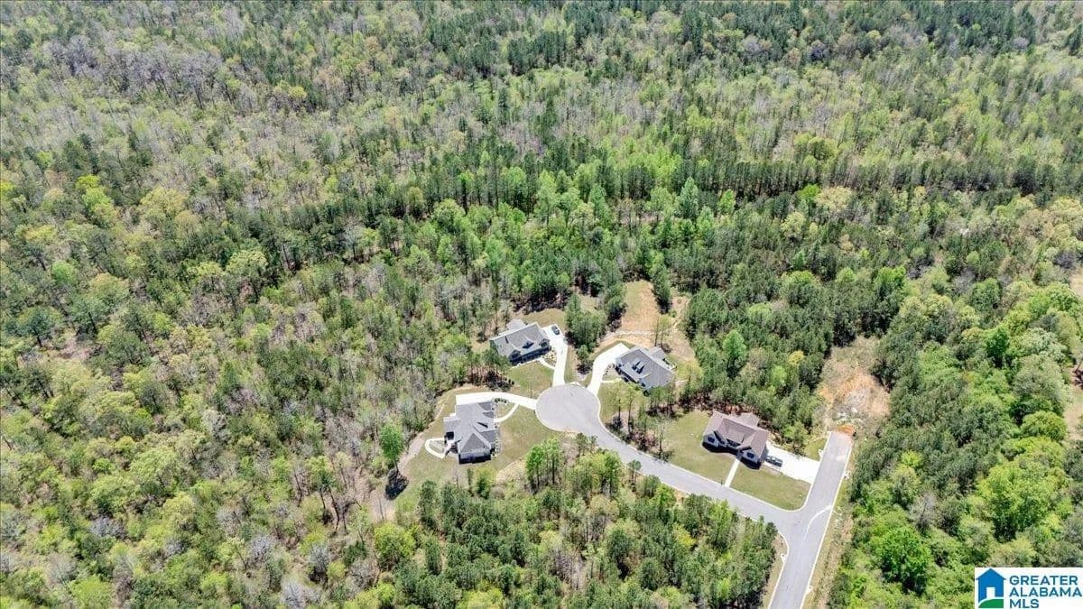 90 Acres of Land for Sale in TRUSSVILLE, AL - land for sale