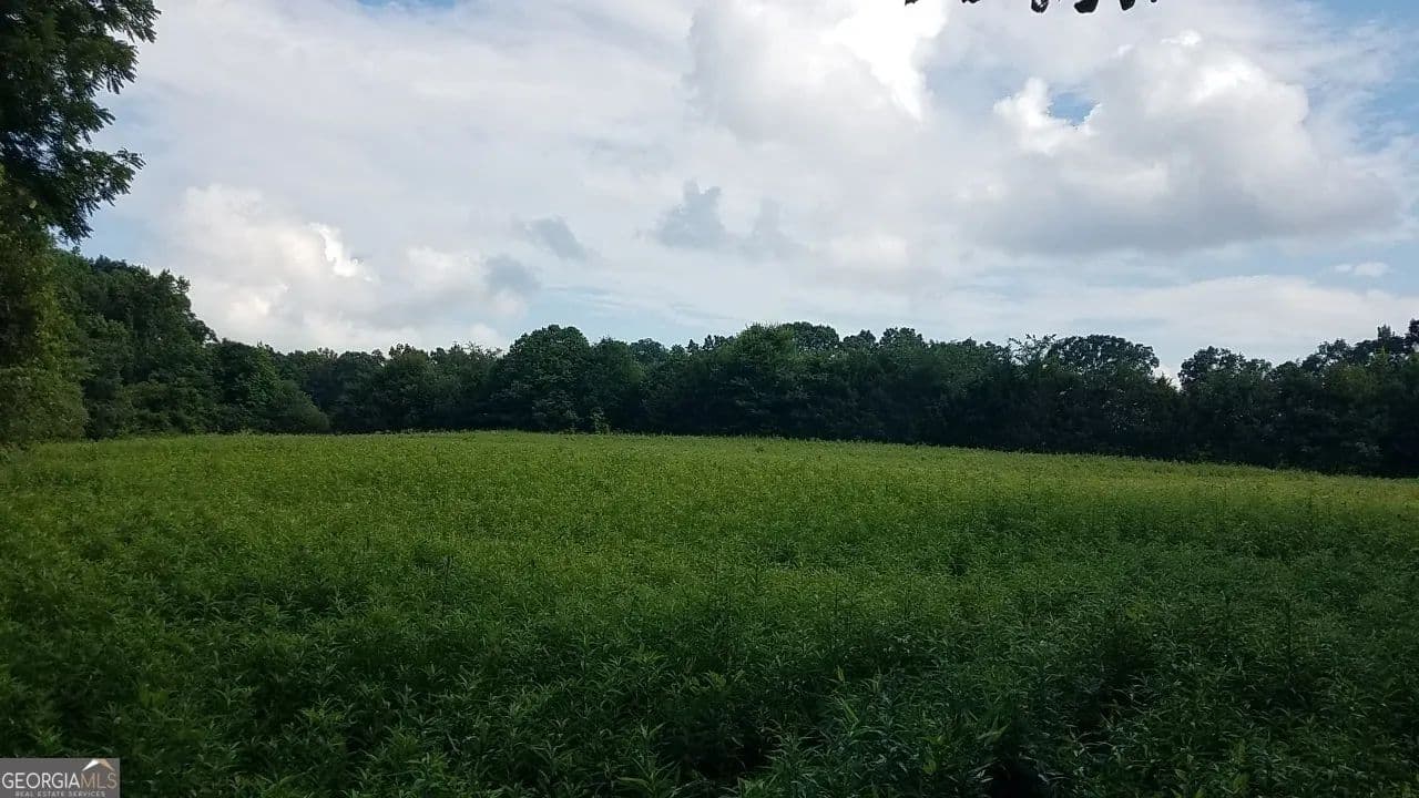 Property from 2411 Kesler Road - KW - Carnesville, Georgia, 30521
