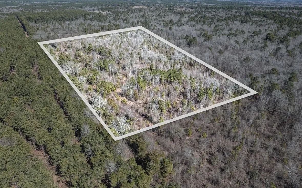 18.8 Acres of Land for Sale in Naples, Texas - Naples, Texas, 75568