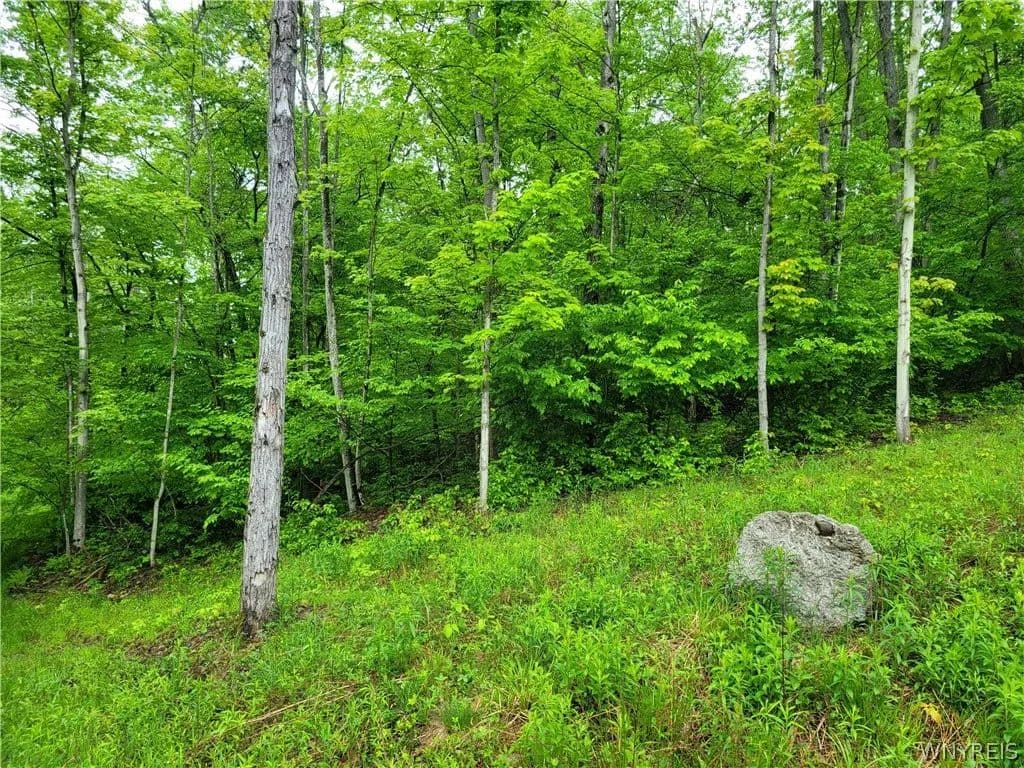 Property from 0 Co Road 24- Lot 1 - KW - Swain, New York, 14884