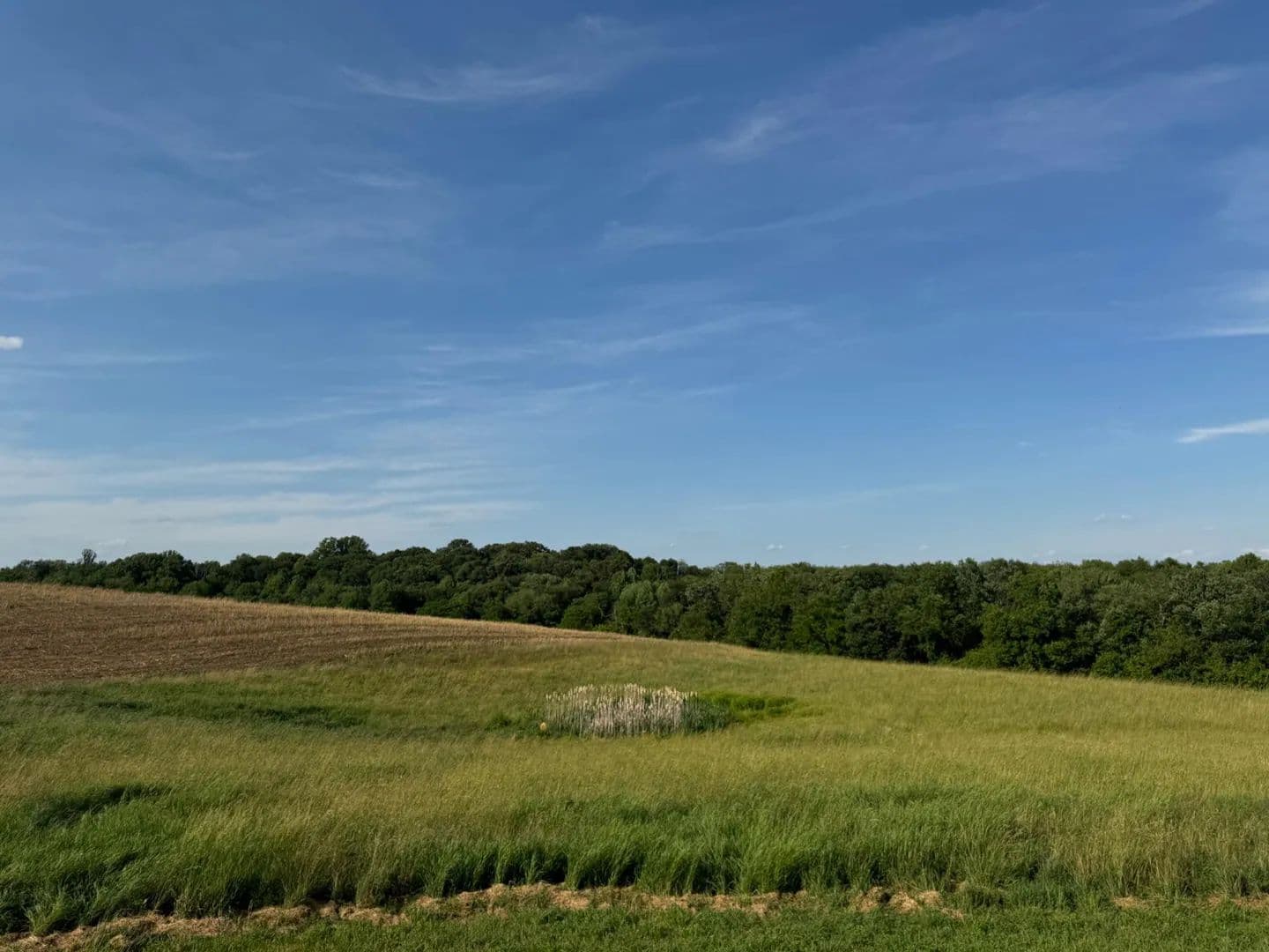 139.68 Acres of Land for Sale in Sykesville, Maryland - Sykesville, Maryland, 21784