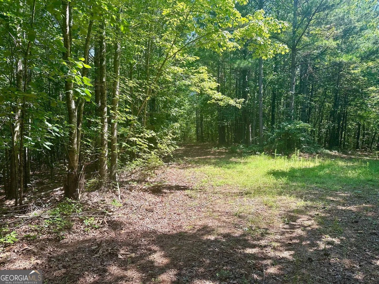 Property from 40 Patriot View Drive - KW - Dahlonega, Georgia, 30533
