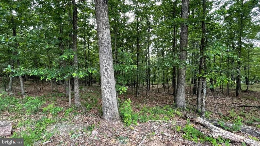 Property from LOTS 47-48-49 BRISTOL COURT - KW - Slanesville, West Virginia, 25444
