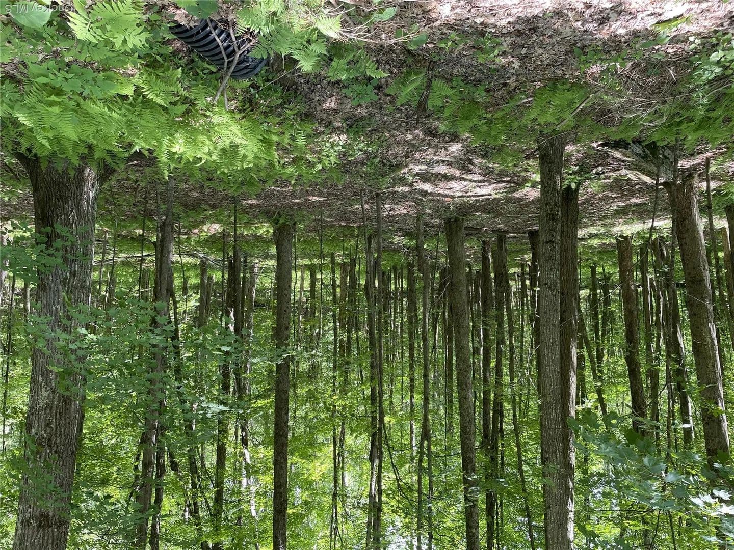 Land for Sale in Delancey, NY - New York, 13752