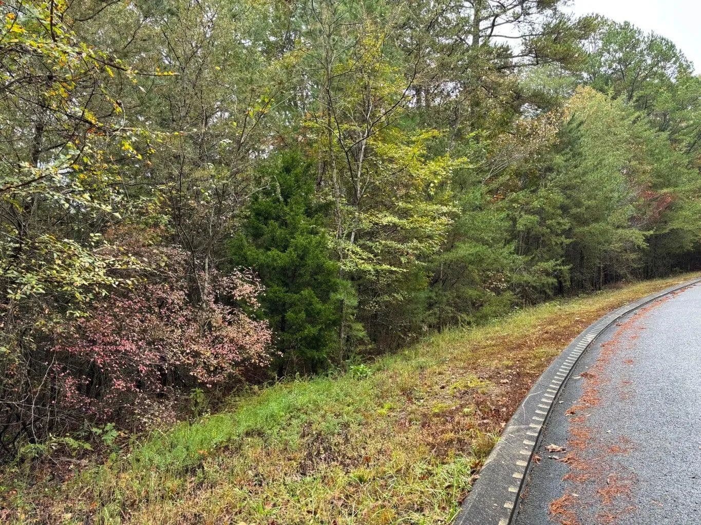 Land -Agricultural (Not Zoned) in Dunlap - Dunlap, Tennessee, 37327