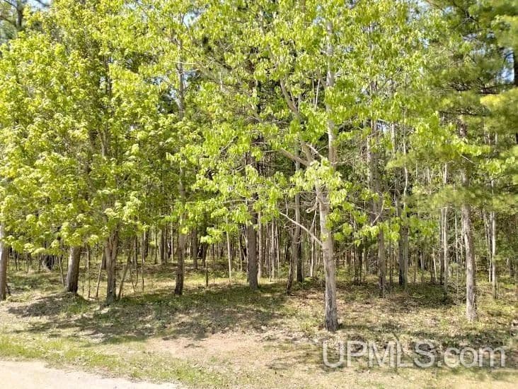 Vacant Land in Rapid River - land for sale