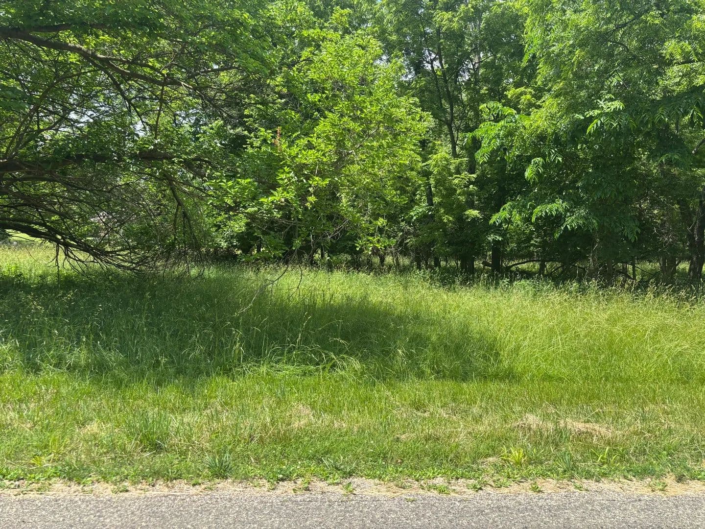 Property from 1483 Westover Drive - KW - Varna, Illinois, 61375