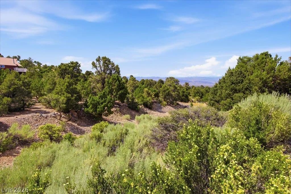 0.84 Acres of Land for Sale in Cold Creek, NV - Nevada, 89124