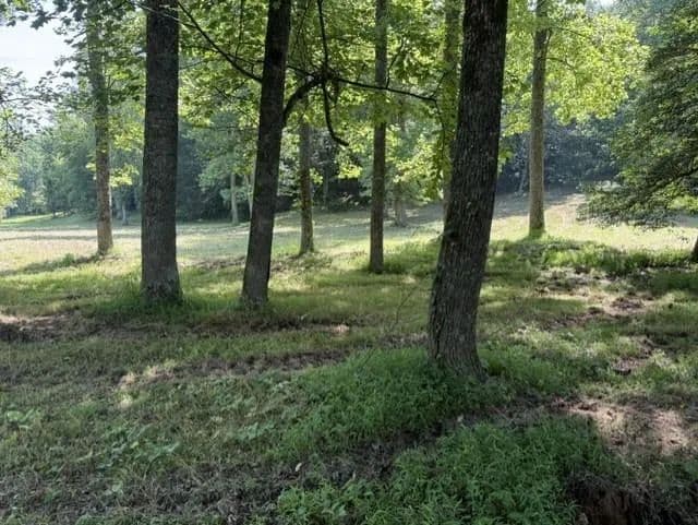 Property from 0 Lot 6 Clear Creek Preserve Way - KW - Ellijay, Georgia, 30536