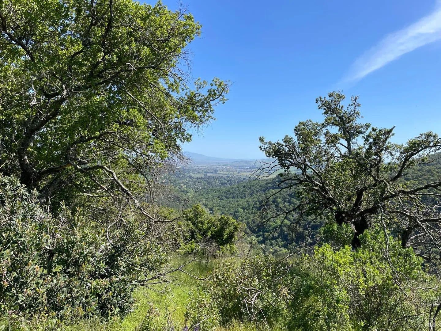 Property from Green Valley Lane #Lot 3 - KW - Green Valley, California, 94534