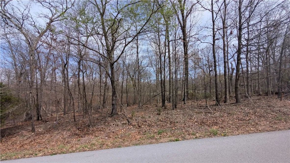 Lots & Land-Other in Bella Vista - Bella Vista, Arkansas, 72715